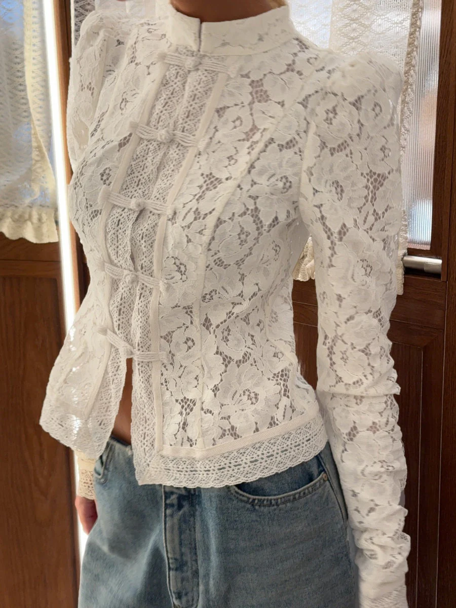 Lace Crochet Stand Collar Slim-fit Long Sleeve Sheer Top - Image 6